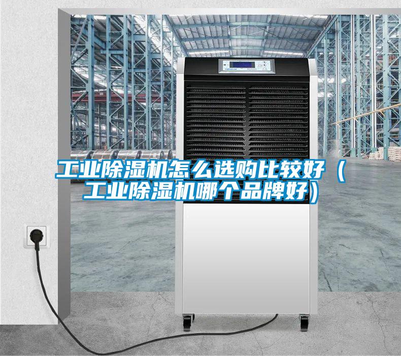 工業(yè)除濕機怎么選購比較好（工業(yè)除濕機哪個品牌好）