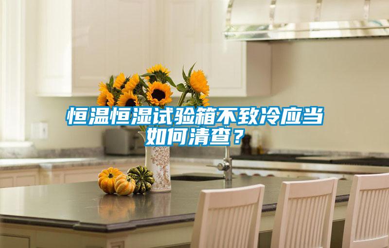 恒溫恒濕試驗箱不致冷應當如何清查？