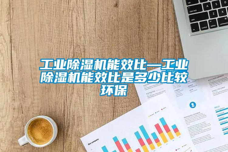 工業(yè)除濕機能效比—工業(yè)除濕機能效比是多少比較環(huán)保