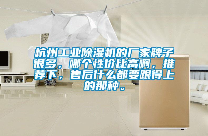 杭州工業除濕機的廠家牌子很多，哪個性價比高啊，推薦下，售后什么都要跟得上的那種。