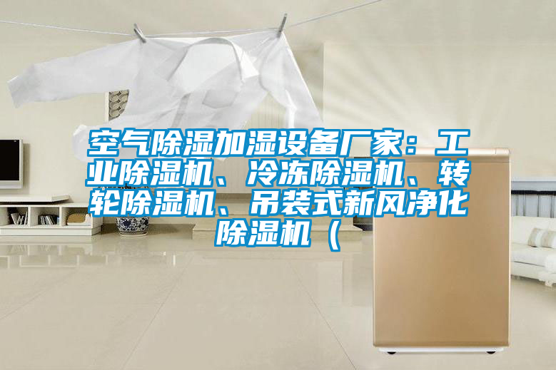 空氣除濕加濕設(shè)備廠家：工業(yè)除濕機、冷凍除濕機、轉(zhuǎn)輪除濕機、吊裝式新風(fēng)凈化除濕機（