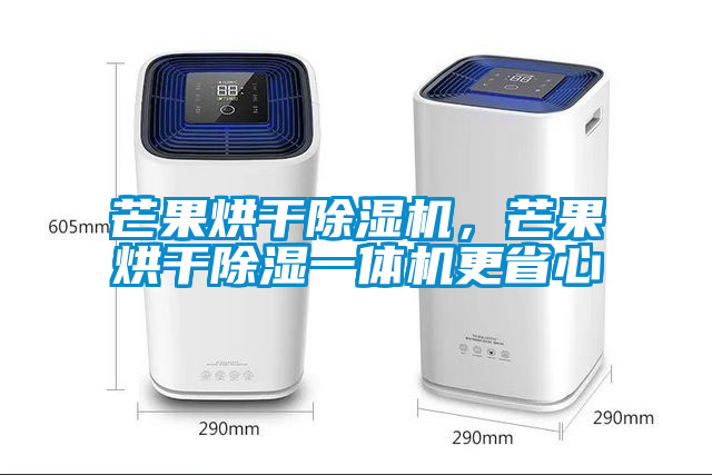 芒果烘干除濕機(jī)，芒果烘干除濕一體機(jī)更省心