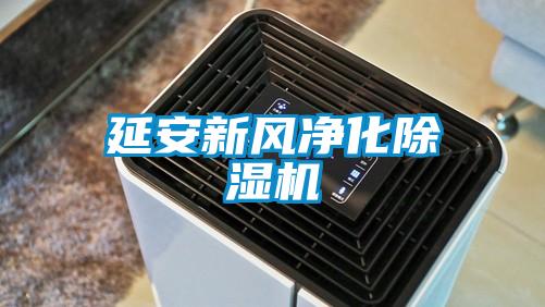 延安新風(fēng)凈化除濕機(jī)