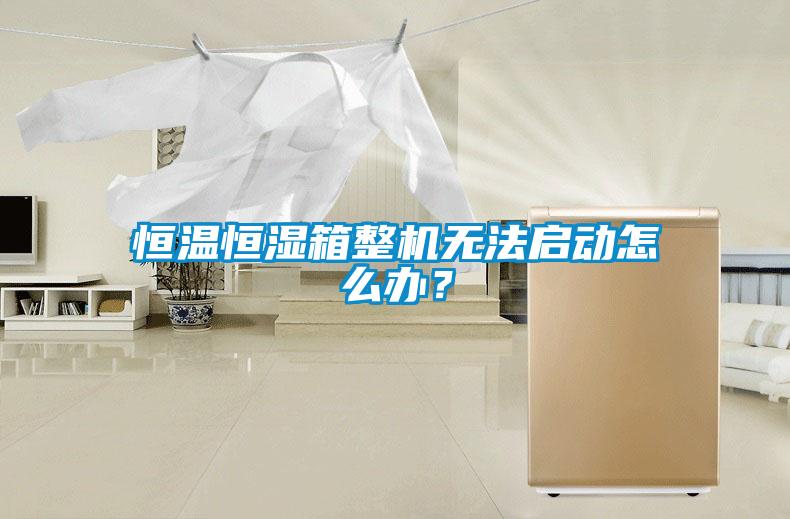 恒溫恒濕箱整機(jī)無(wú)法啟動(dòng)怎么辦？