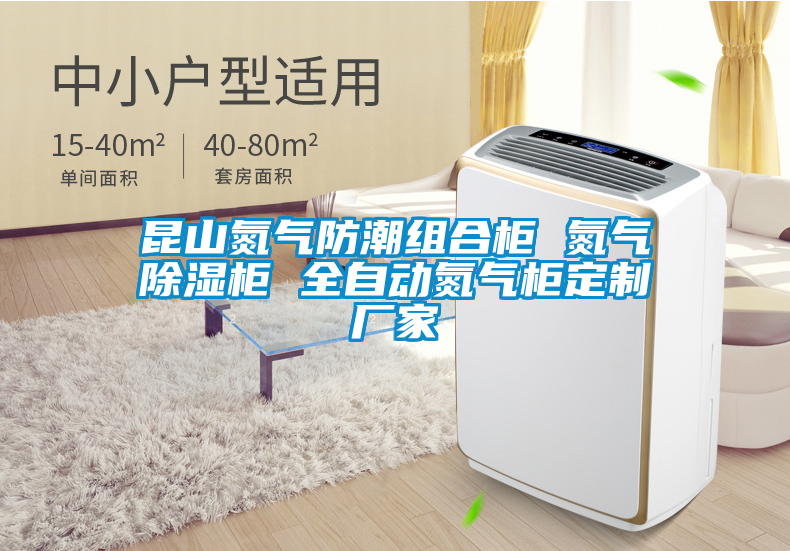 昆山氮?dú)夥莱苯M合柜 氮?dú)獬凉窆?全自動氮?dú)夤穸ㄖ茝S家