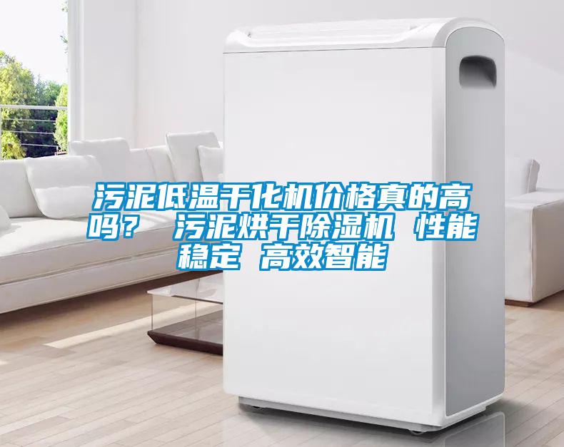 污泥低溫干化機價格真的高嗎？ 污泥烘干除濕機 性能穩定 高效智能