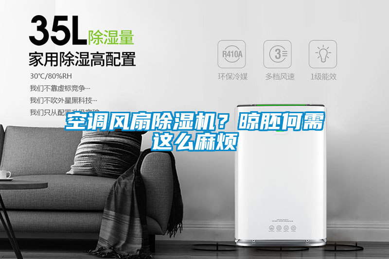 空調(diào)風(fēng)扇除濕機？晾胚何需這么麻煩