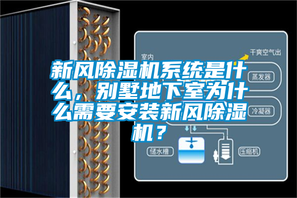 新風(fēng)除濕機系統(tǒng)是什么，別墅地下室為什么需要安裝新風(fēng)除濕機？