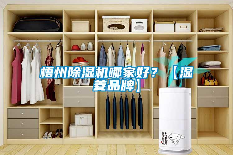 梧州除濕機哪家好？【濕菱品牌】
