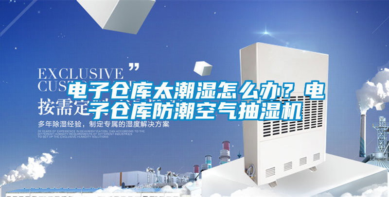 電子倉庫太潮濕怎么辦？電子倉庫防潮空氣抽濕機