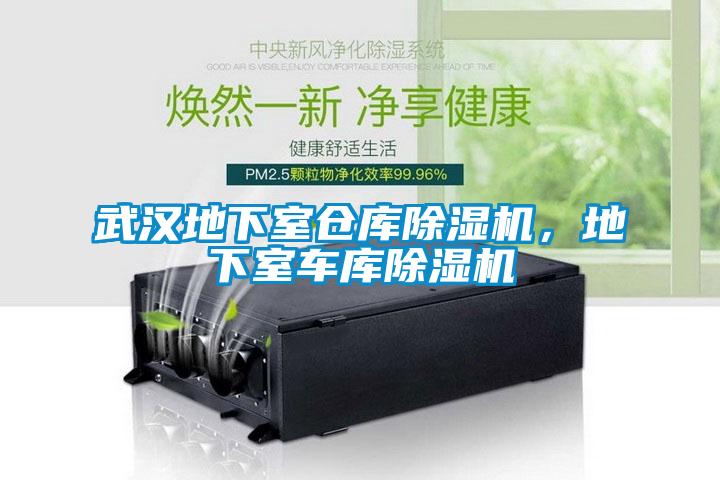 武漢地下室倉庫除濕機，地下室車庫除濕機