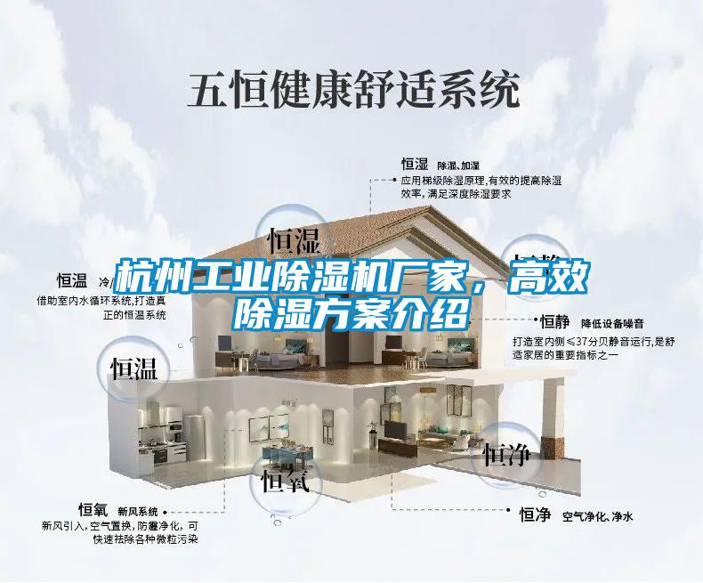杭州工業除濕機廠家，高效除濕方案介紹