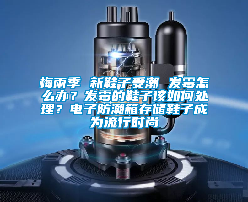 梅雨季 新鞋子受潮 發霉怎么辦？發霉的鞋子該如何處理？電子防潮箱存儲鞋子成為流行時尚