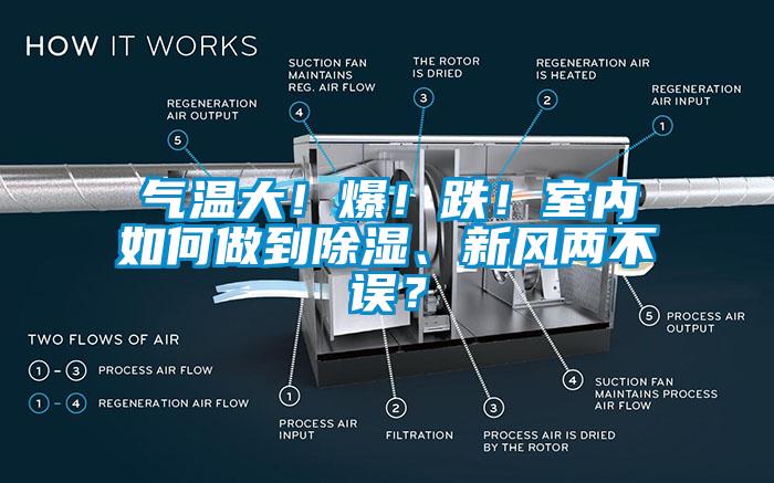 氣溫大！爆！跌！室內(nèi)如何做到除濕、新風(fēng)兩不誤？