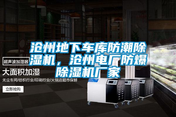 滄州地下車庫防潮除濕機，滄州電廠防爆除濕機廠家
