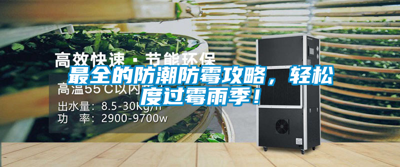 最全的防潮防霉攻略，輕松度過霉雨季！