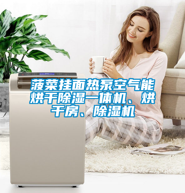 菠菜掛面熱泵空氣能烘干除濕一體機(jī)、烘干房、除濕機(jī)