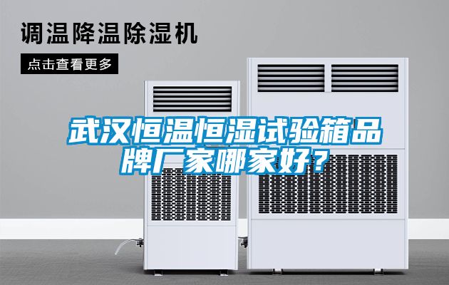 武漢恒溫恒濕試驗箱品牌廠家哪家好？