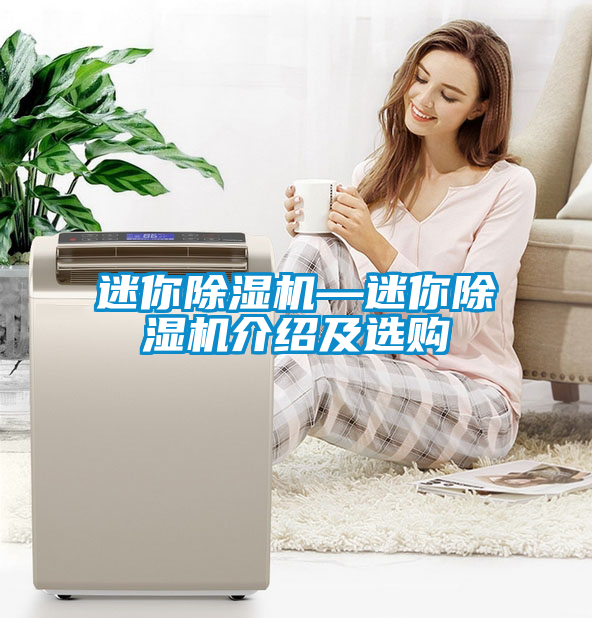 迷你除濕機(jī)—迷你除濕機(jī)介紹及選購(gòu)