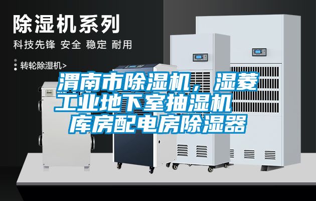 渭南市除濕機(jī)，濕菱工業(yè)地下室抽濕機(jī)  庫房配電房除濕器