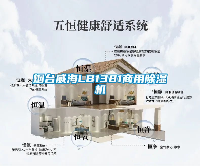 煙臺(tái)威海LB1381商用除濕機(jī)