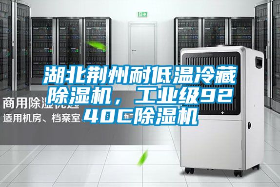 湖北荊州耐低溫冷藏除濕機，工業級9240C除濕機