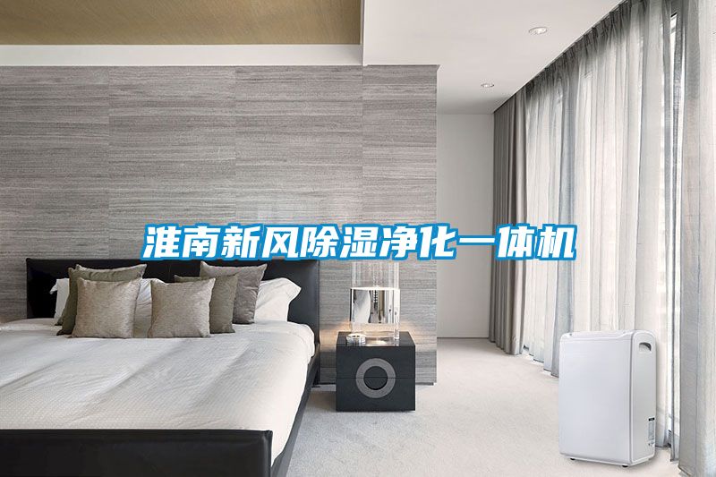 淮南新風(fēng)除濕凈化一體機