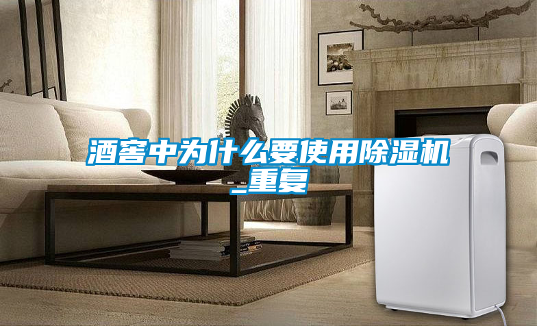 酒窖中為什么要使用除濕機_重復(fù)