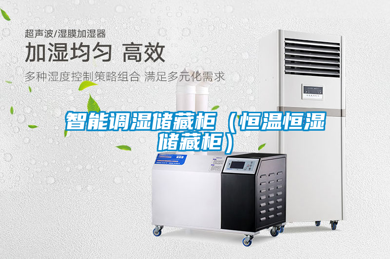 智能調(diào)濕儲藏柜（恒溫恒濕儲藏柜）