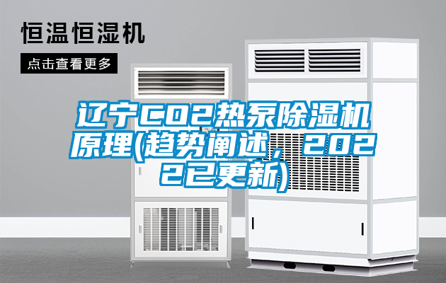 遼寧CO2熱泵除濕機(jī)原理(趨勢(shì)闡述，2022已更新)