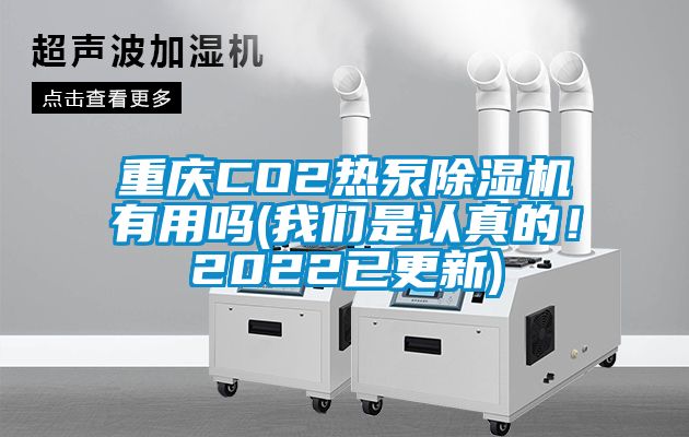 重慶CO2熱泵除濕機有用嗎(我們是認真的！2022已更新)