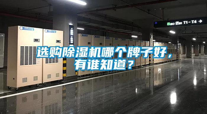 選購(gòu)除濕機(jī)哪個(gè)牌子好，有誰(shuí)知道？