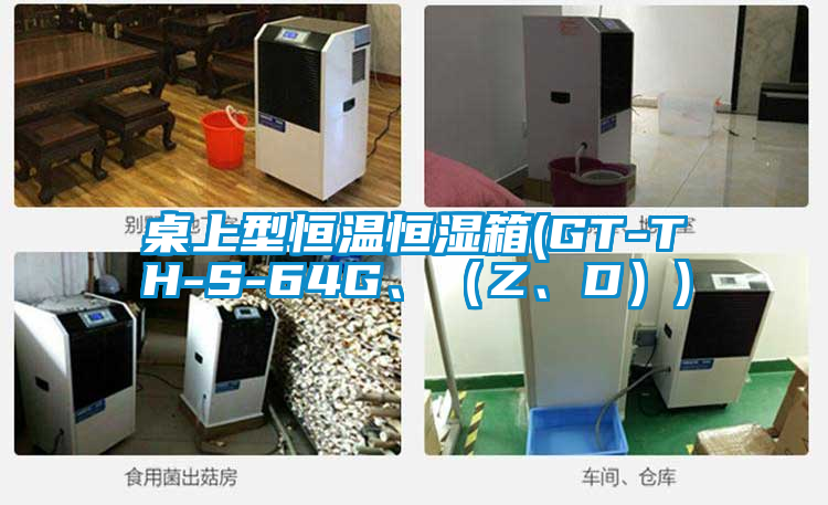 桌上型恒溫恒濕箱(GT-TH-S-64G、（Z、D）)