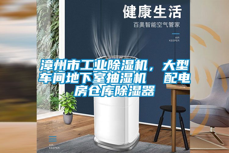 漳州市工業(yè)除濕機，大型車間地下室抽濕機  配電房倉庫除濕器