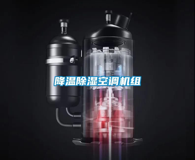 降溫除濕空調(diào)機組