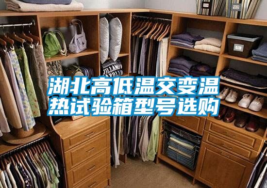 湖北高低溫交變溫?zé)嵩囼?yàn)箱型號(hào)選購(gòu)