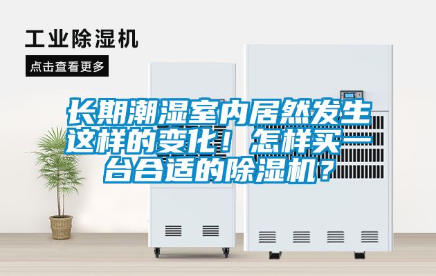 長期潮濕室內居然發(fā)生這樣的變化！怎樣買一臺合適的除濕機？