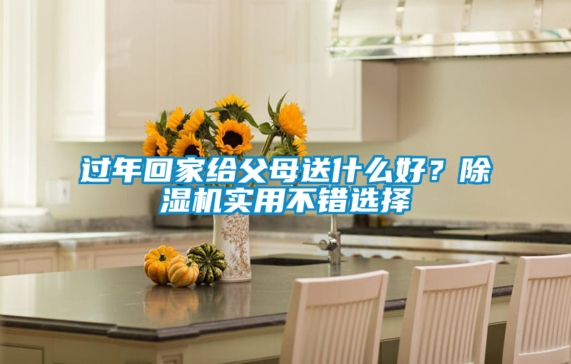 過年回家給父母送什么好？除濕機實用不錯選擇