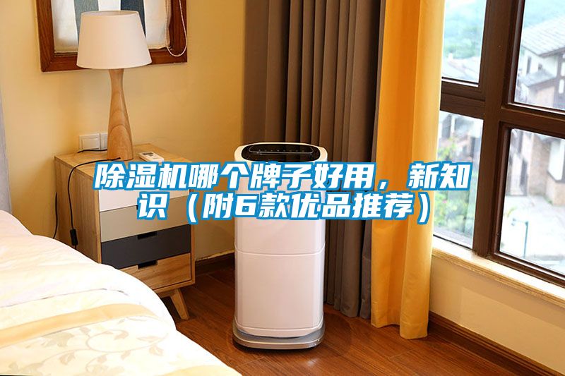 除濕機(jī)哪個(gè)牌子好用，新知識（附6款優(yōu)品推薦）