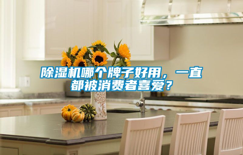 除濕機(jī)哪個(gè)牌子好用，一直都被消費(fèi)者喜愛？