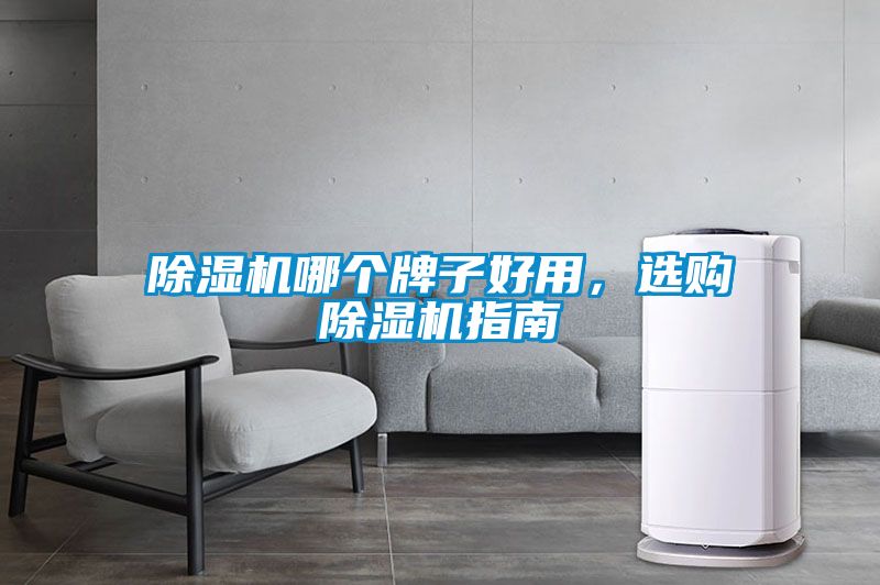 除濕機(jī)哪個(gè)牌子好用，選購除濕機(jī)指南
