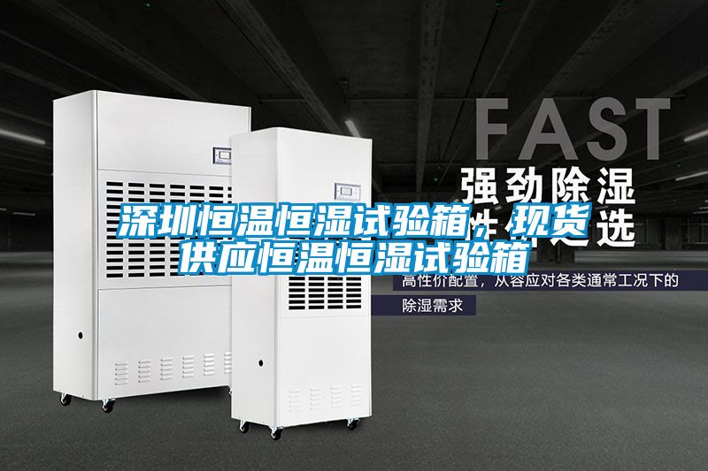 深圳恒溫恒濕試驗箱，現貨供應恒溫恒濕試驗箱