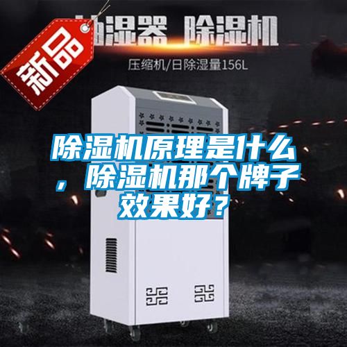 除濕機(jī)原理是什么，除濕機(jī)那個牌子效果好？