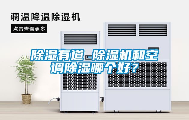 除濕有道 除濕機(jī)和空調(diào)除濕哪個好？