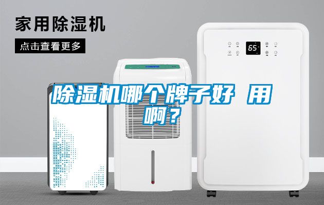 除濕機哪個牌子好 用??？