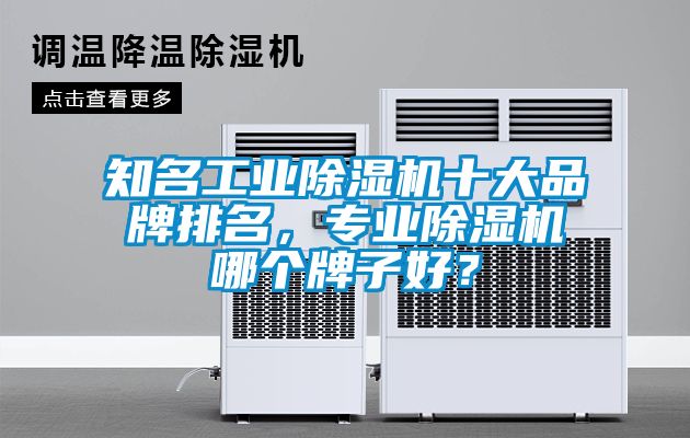 知名工業(yè)除濕機(jī)十大品牌排名，專業(yè)除濕機(jī)哪個(gè)牌子好？