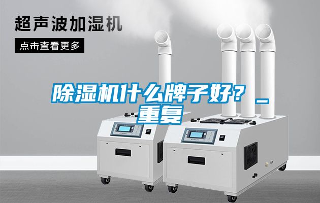 除濕機什么牌子好？_重復(fù)