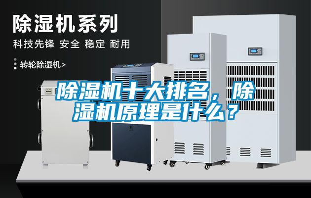 除濕機十大排名，除濕機原理是什么？
