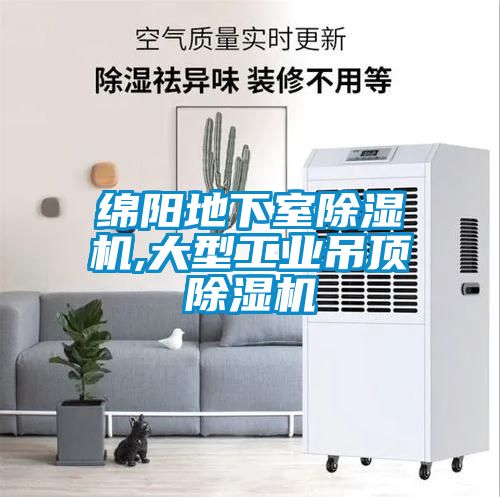 綿陽地下室除濕機,大型工業(yè)吊頂除濕機