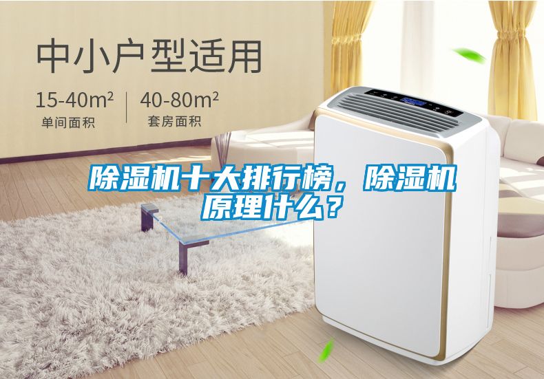 除濕機十大排行榜，除濕機原理什么？
